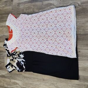 Dress Bundle sz10 Dress Barn Lace Satin